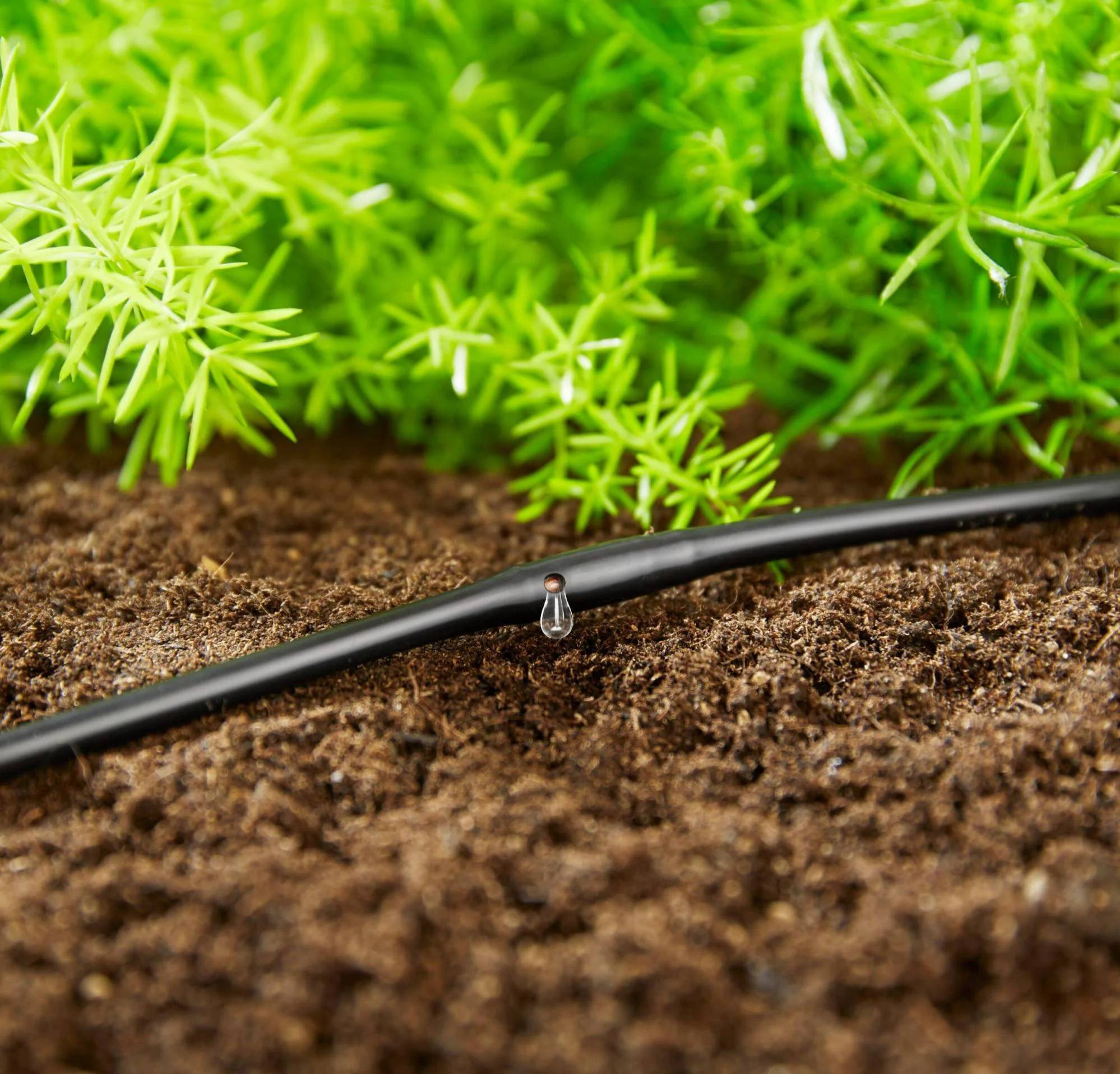 Gardena - Kit d'arrosage goutte-à-goutte - GARDENA - Imagen 3