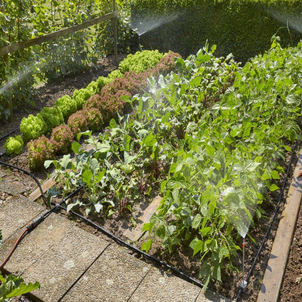 Kit d'arrosage goutte-à-goutte GARDENA pour massifs et potagers - Image 2