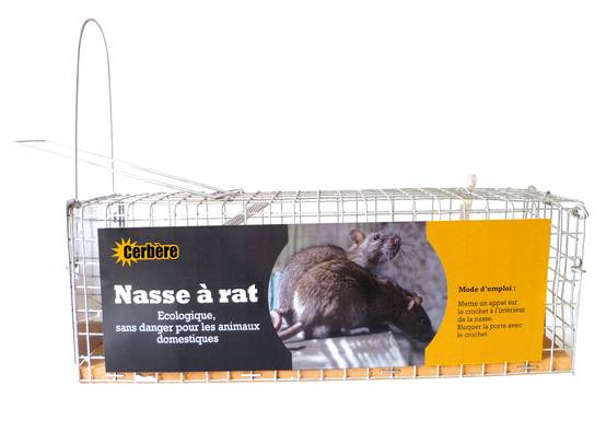 Cerbère - Nasse à rat 1 entrée
