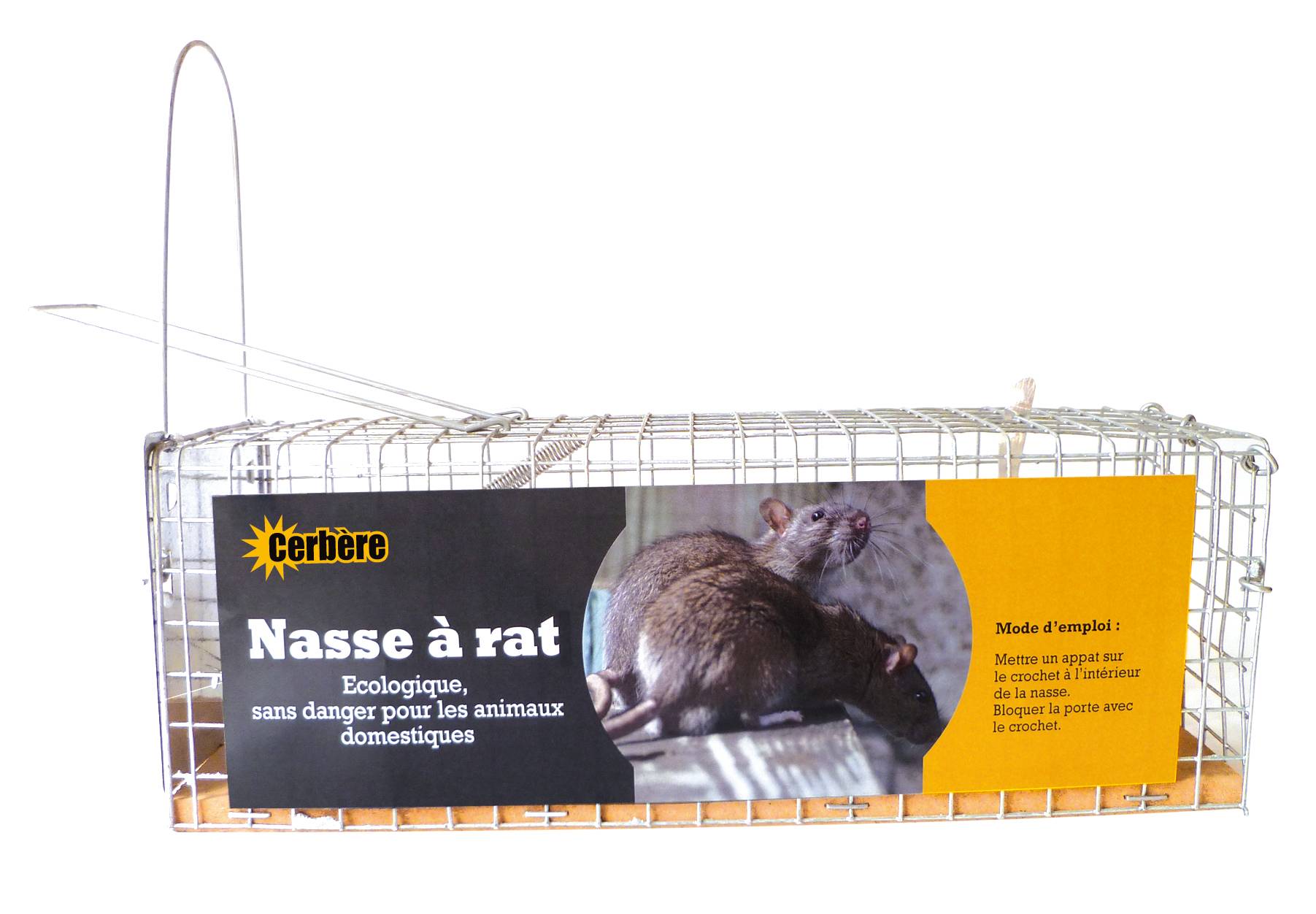 Cerbère - Nasse à rat 1 entrée