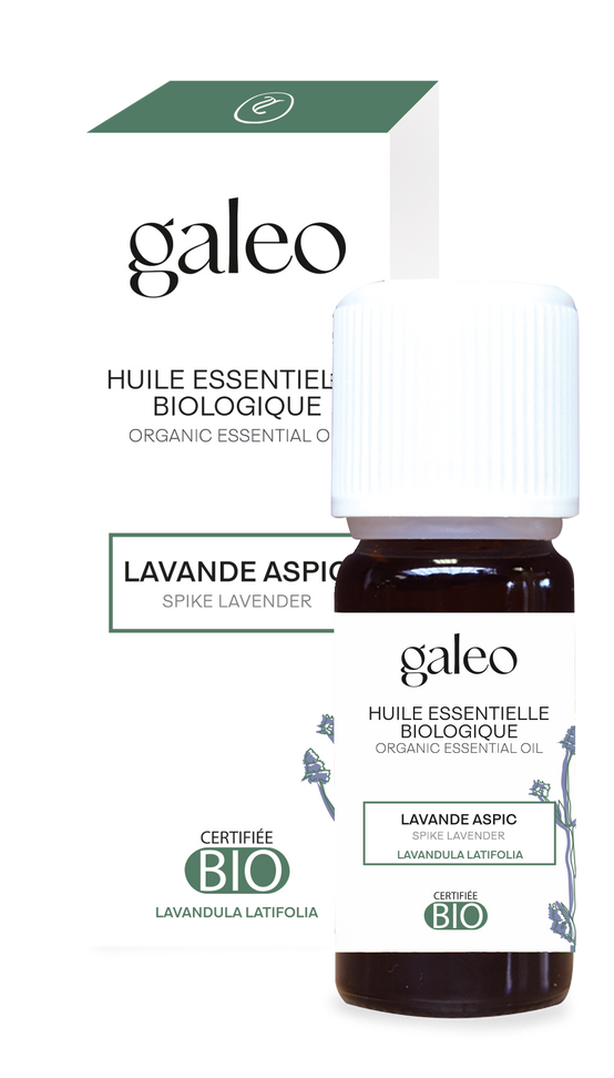 Galeo - Huile essentielle de lavande aspic bio 10 ml - Image 3