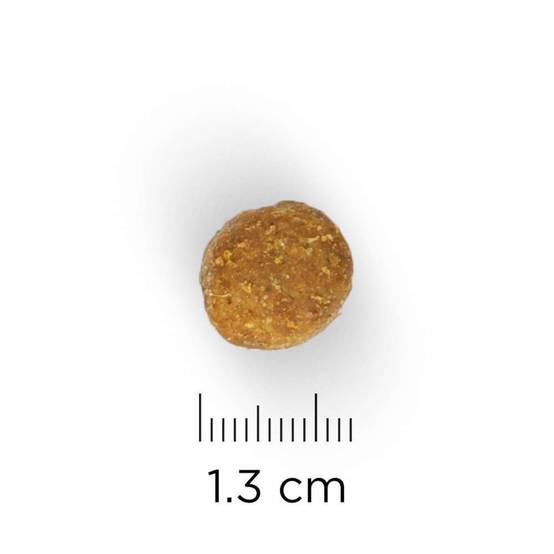 Hill's Pet Nut - Croquettes pour Chien Mature Adulte 7+ Medium Agneau & Riz 12kg - Science Plan Hill's - Image 2