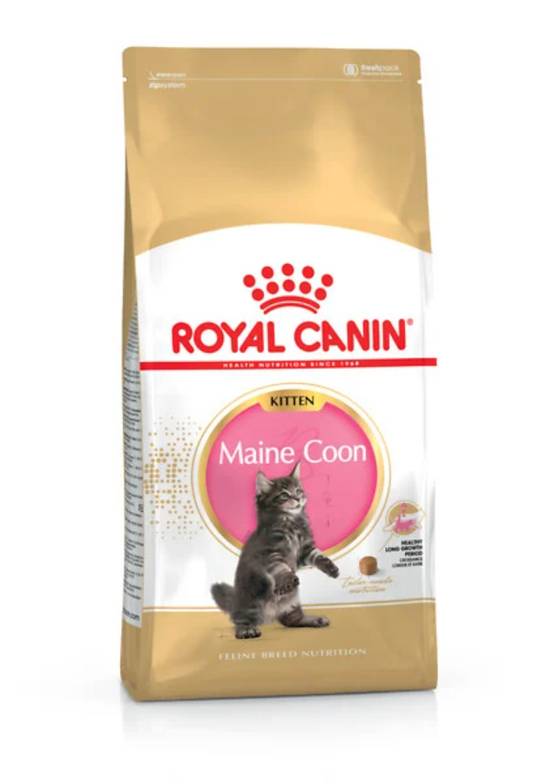 Royal Canin - Croquettes Chaton Maine Coon - ROYAL CANIN - Image 1