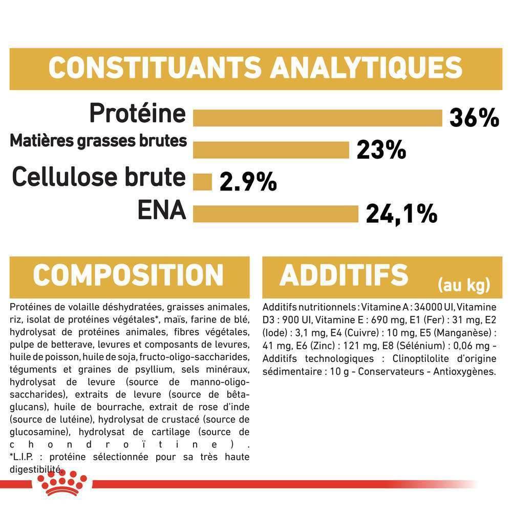 Royal Canin - Croquettes Chaton Maine Coon - ROYAL CANIN - Image 5