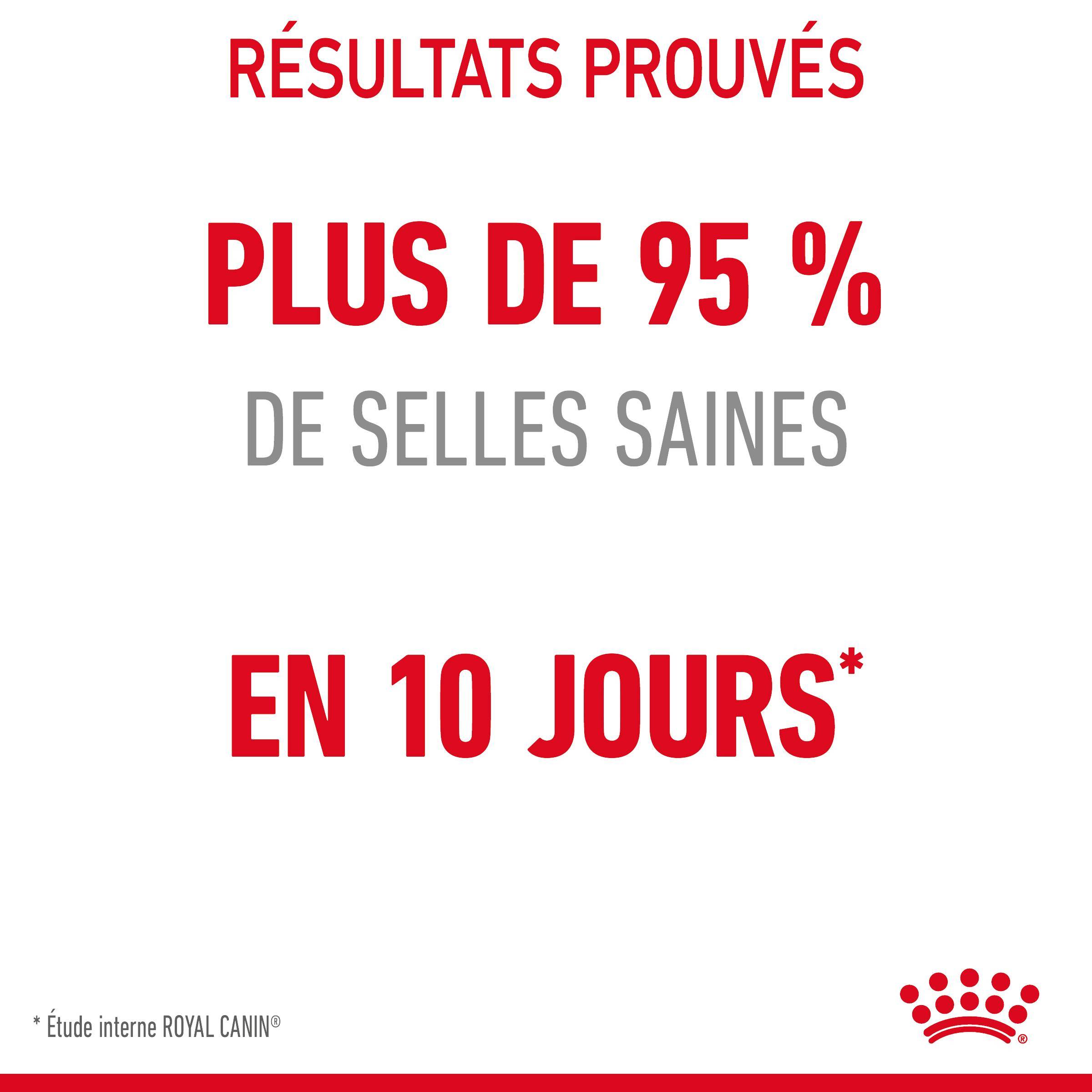 Royal Canin - Croquettes Chat Digestive Care - ROYAL CANIN - Image 4