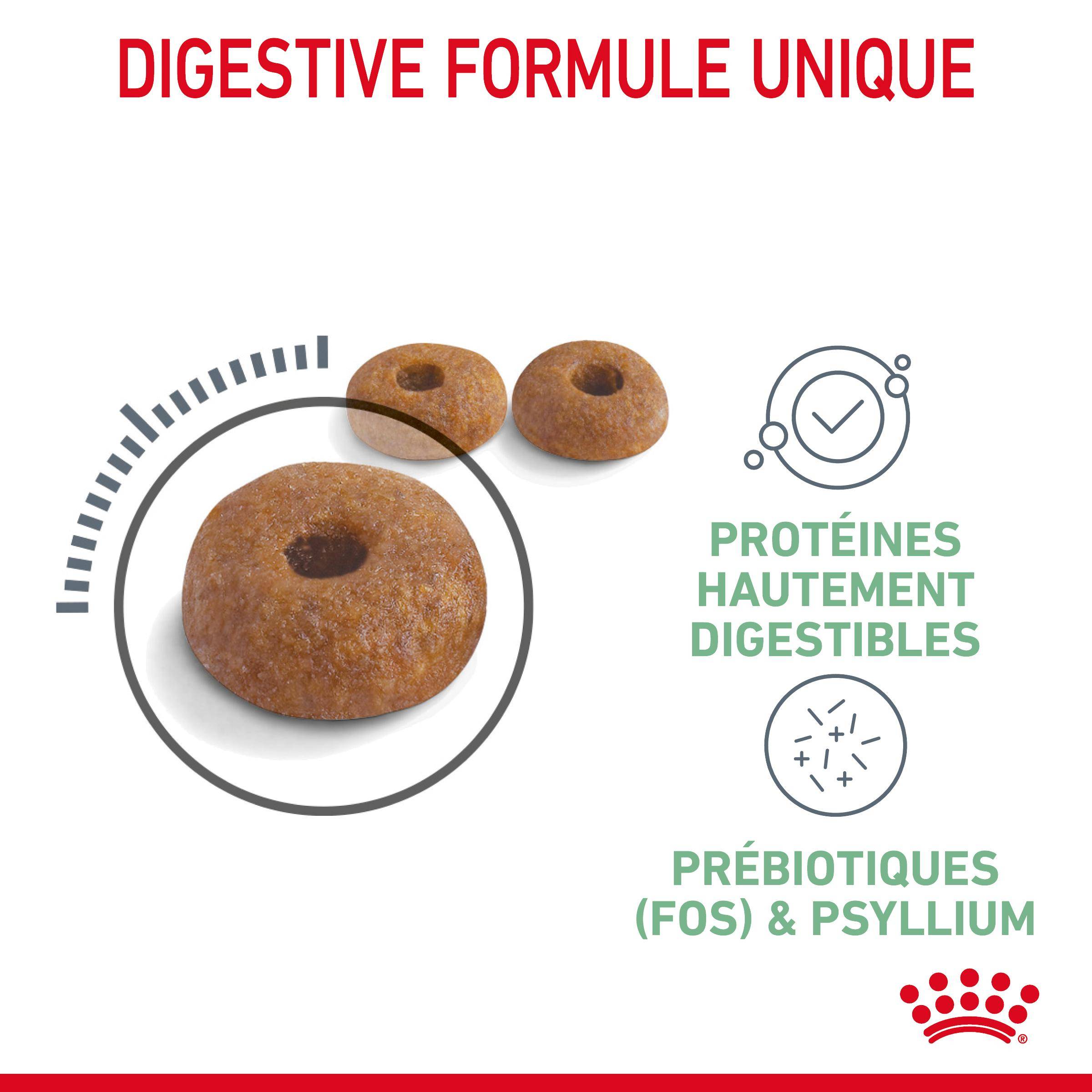 Royal Canin - Croquettes Chat Digestive Care - ROYAL CANIN - Image 9