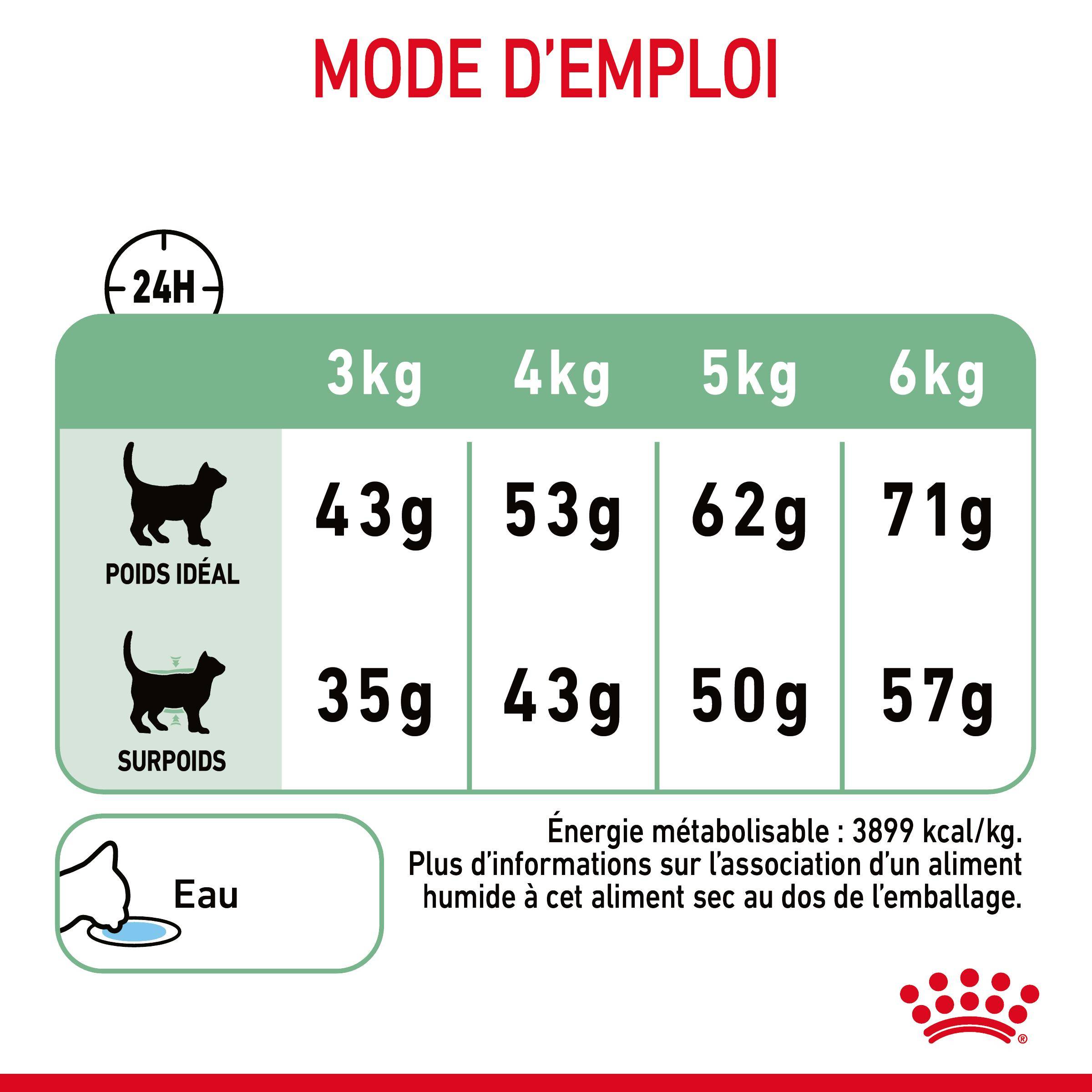 Royal Canin - Croquettes Chat Digestive Care - ROYAL CANIN - Image 12