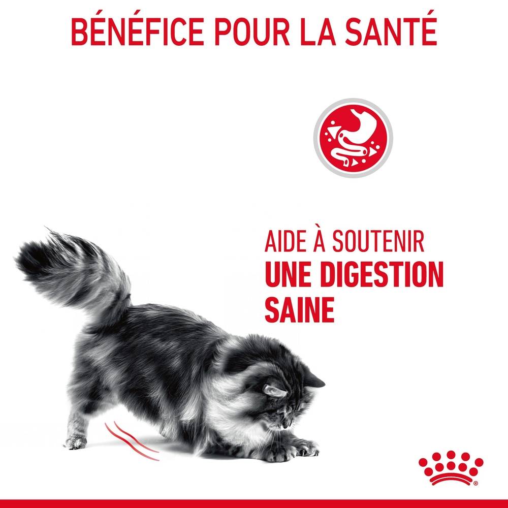Royal Canin - Croquettes Chat Digestive Care - ROYAL CANIN - Image 2
