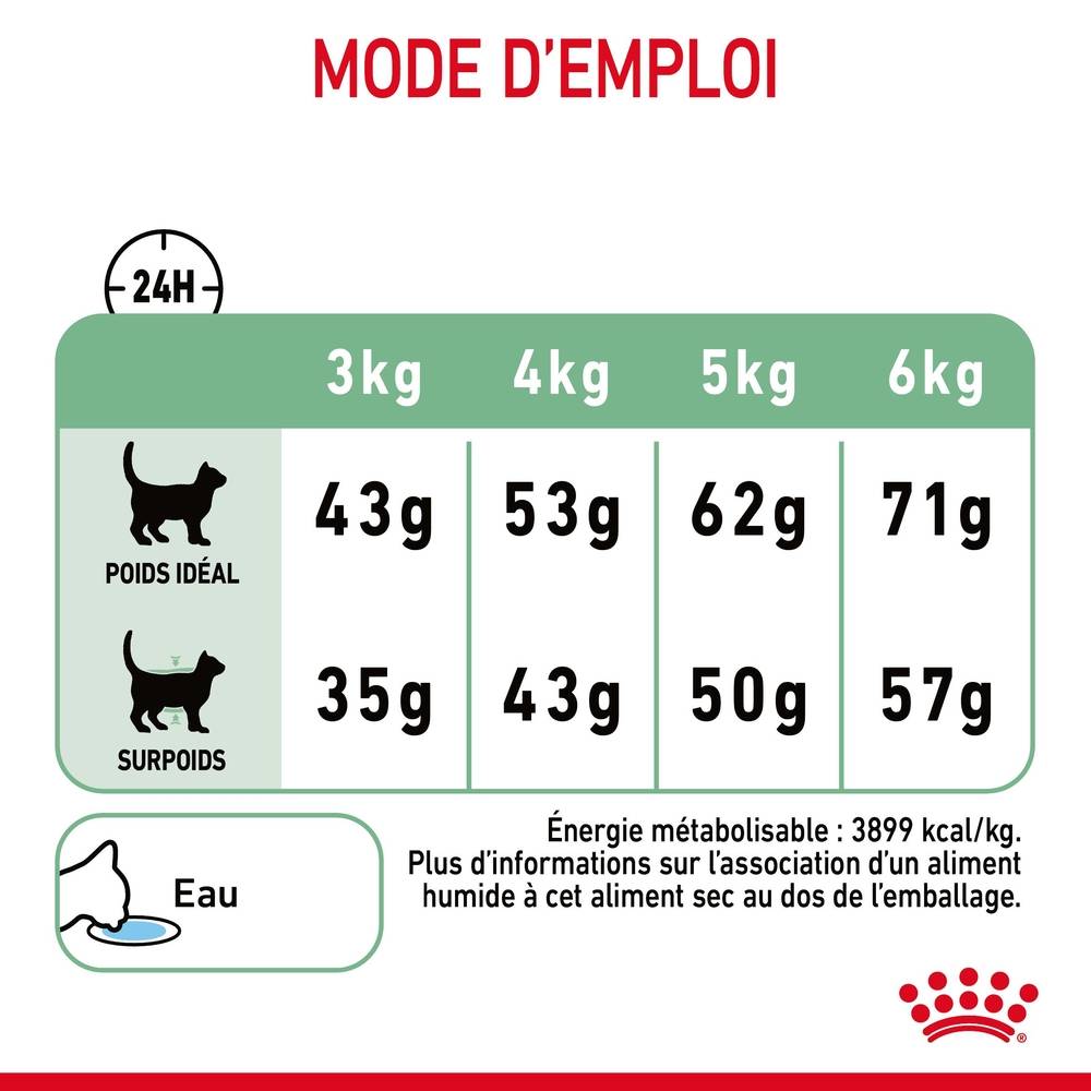 Royal Canin - Croquettes Chat Digestive Care - ROYAL CANIN - Image 6