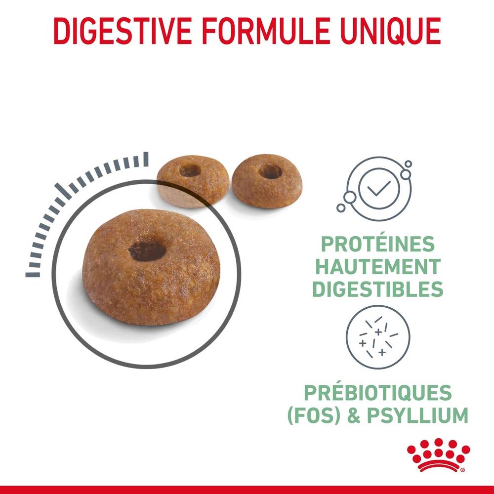 Royal Canin - Croquettes Chat Digestive Care - ROYAL CANIN - Image 3