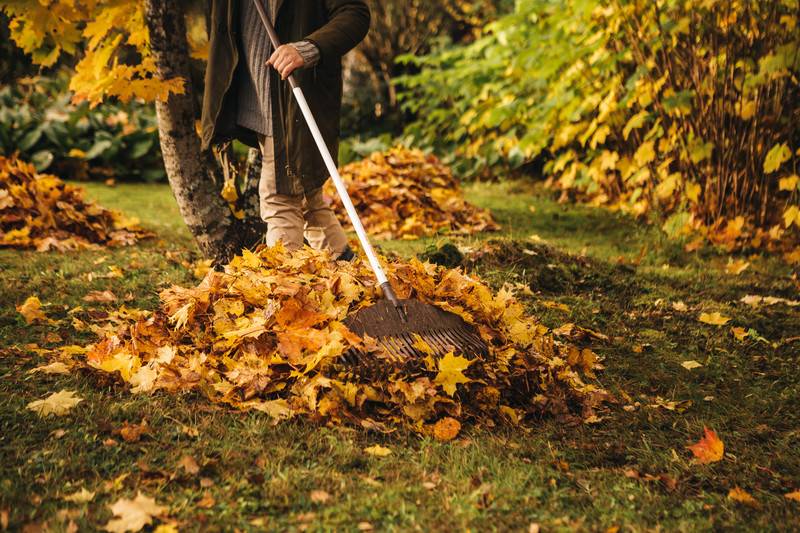 Fiskars - Balai à feuilles 25 dents - FISKARS - Image 2