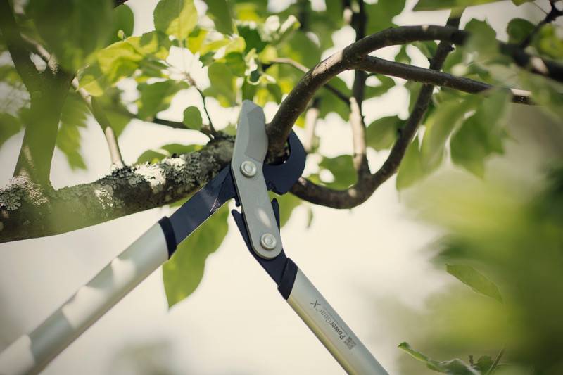 Fiskars - Coupe-branches à crémaillère et à lame franche PowerGear™ X S (LX92) - Fiskars - Image 2