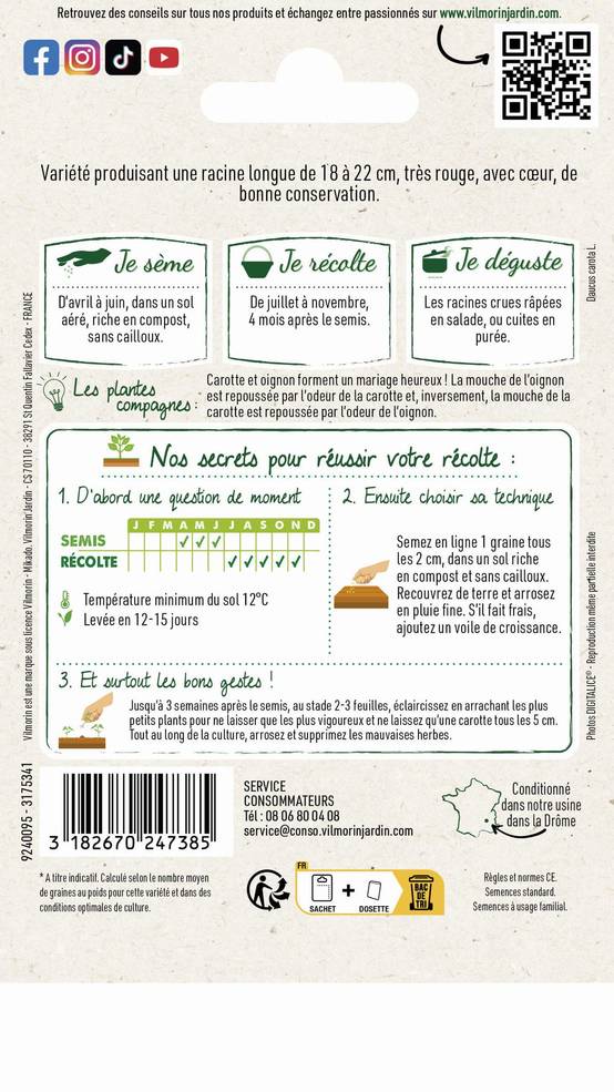 Vilmorin - Carotte de Meaux longue série 1 sachet graines 6 g - Vilmorin - Image 2