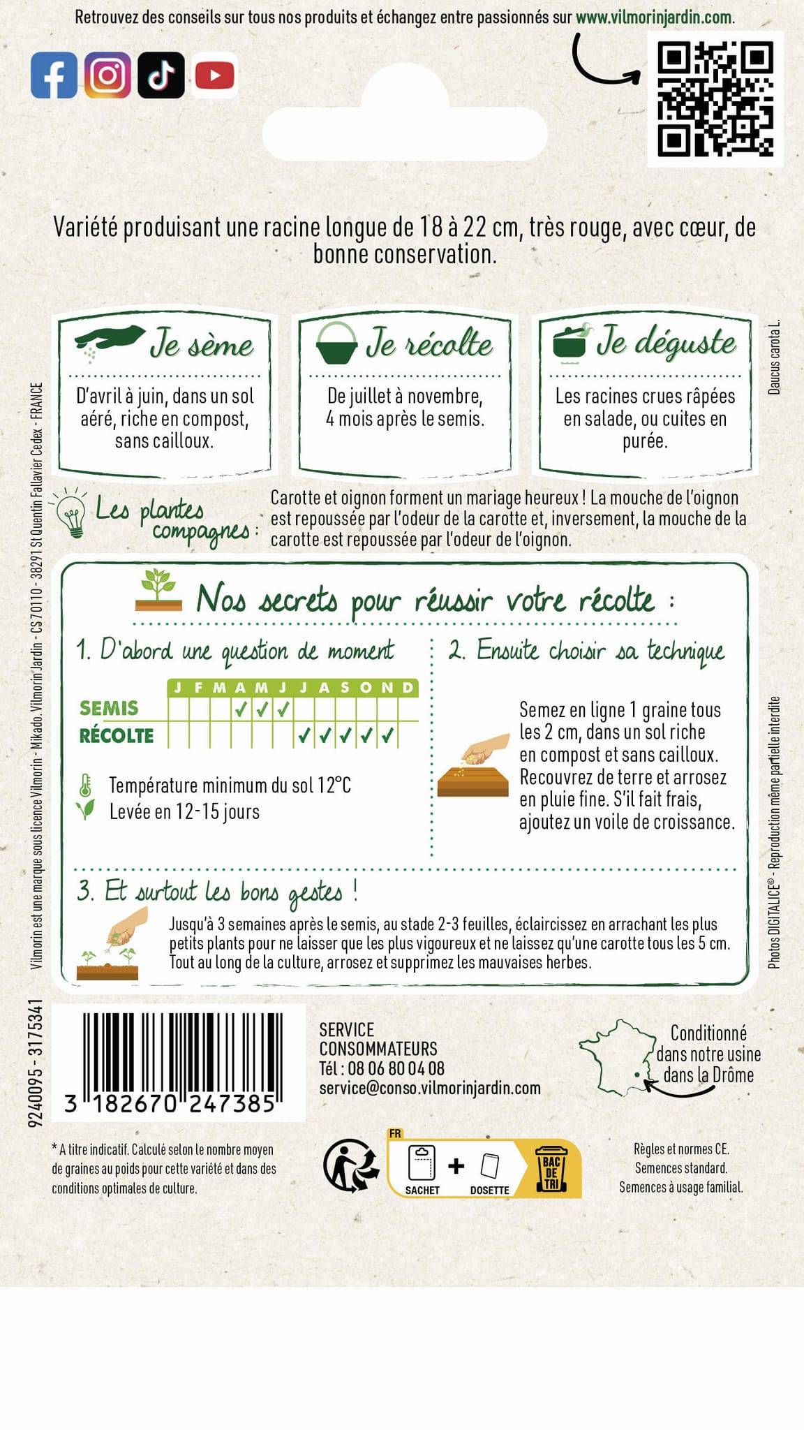 Vilmorin - Carotte de Meaux longue série 1 sachet graines 6 g - Vilmorin - Image 2