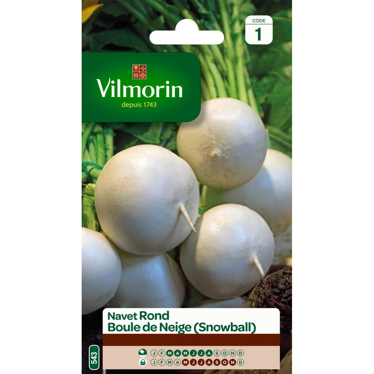 Vilmorin - Navet légume rond boule de neige série 1 sachet graines 4 g - Vilmorin - Image 1