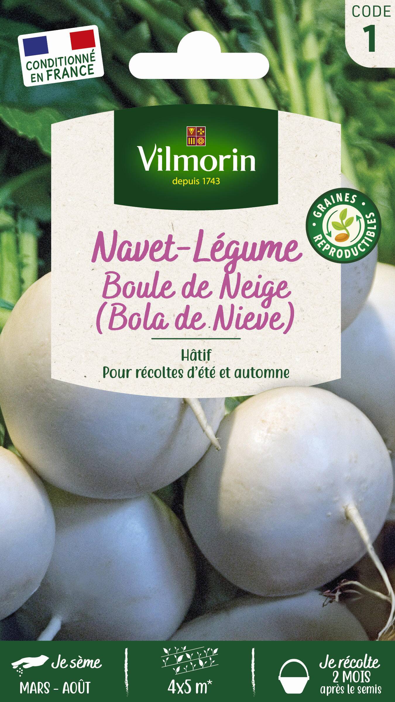 Vilmorin - Navet légume rond boule de neige série 1 sachet graines 4 g - Vilmorin - Image 2