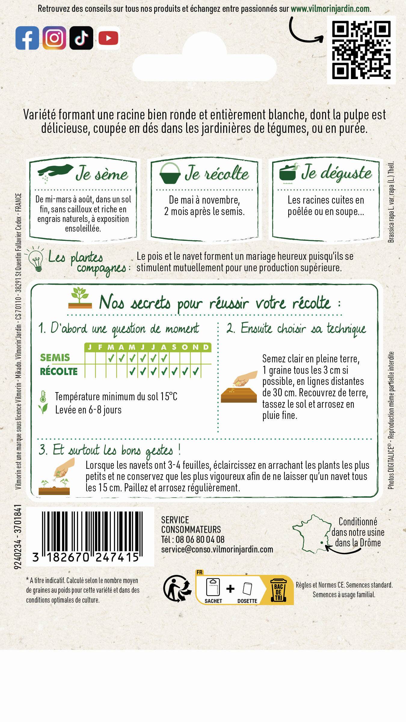 Vilmorin - Navet légume rond boule de neige série 1 sachet graines 4 g - Vilmorin - Image 3