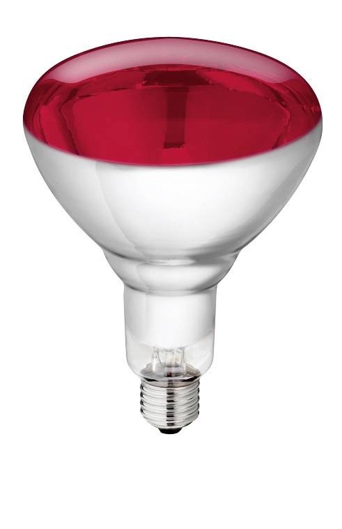 Lampe infrarouge 150 watts - L.11,8 x l.11,8 x H.17,4 cm