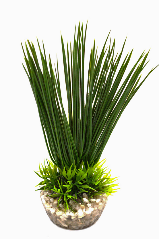 Labéo - Récif petit modèle artificiel vert - H. 13 cm - Labéo