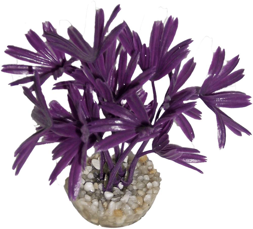 Labéo - Plante Artificielle pour Aquarium - LABEO - Image 5