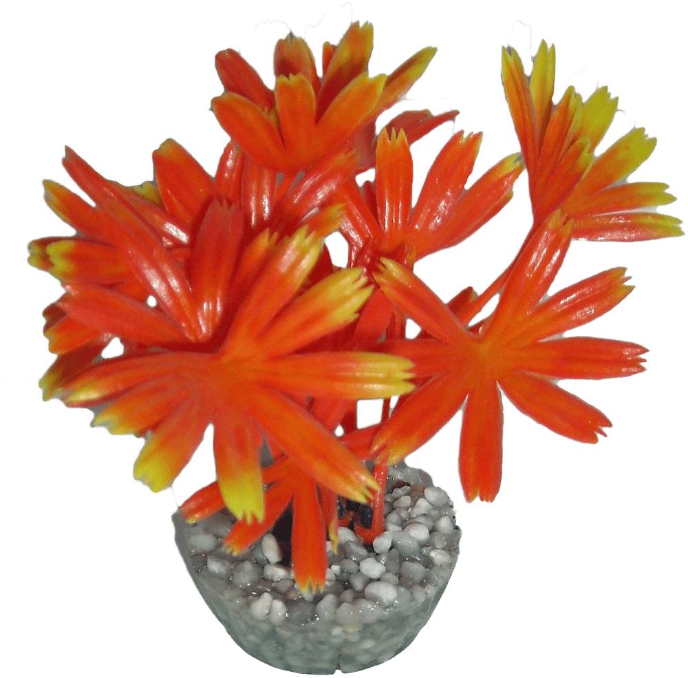 Labéo - Plante Artificielle pour Aquarium - LABEO - Image 8