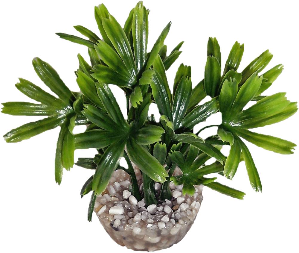 Labéo - Plante Artificielle pour Aquarium - LABEO - Image 7