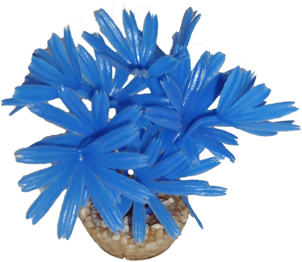 Labéo - Plante Artificielle pour Aquarium - LABEO - Image 9