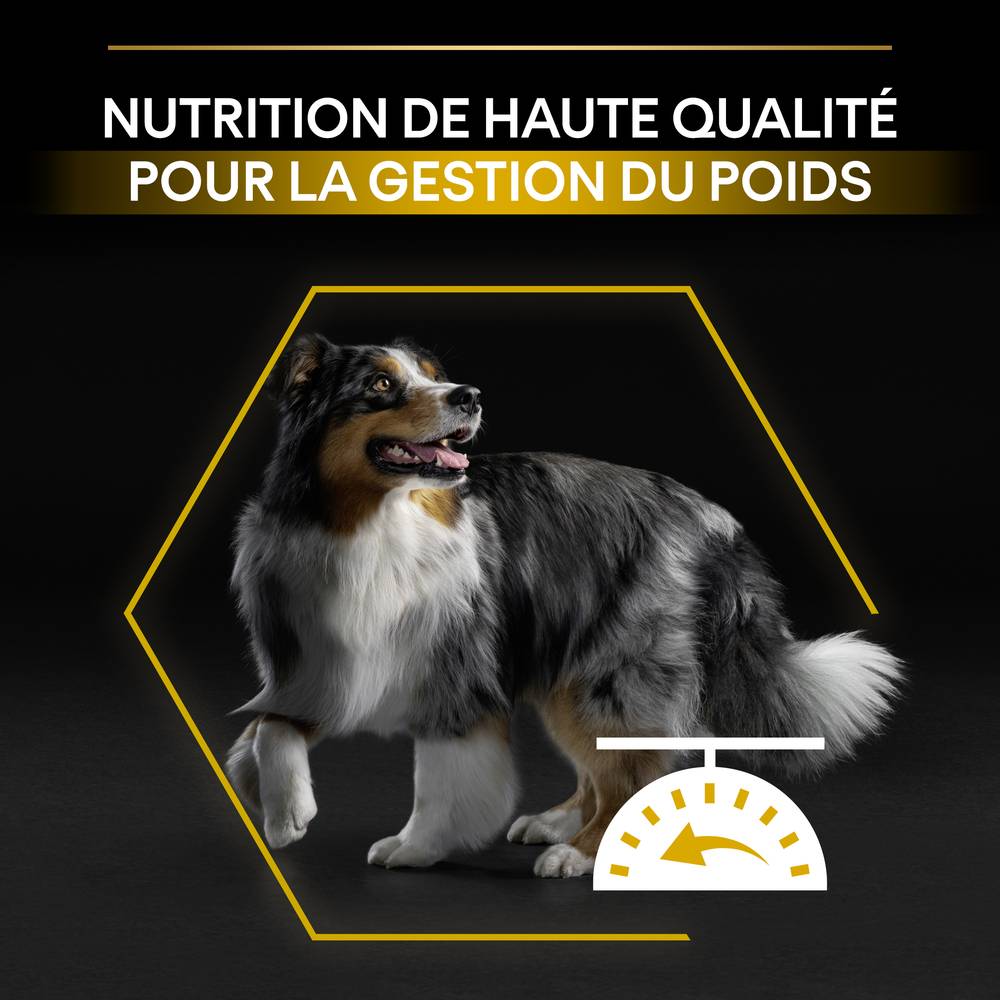Purina Pro Plan - Croquettes chien Adulte Toutes Tailles Stérilisé Poulet 14 kg + 2 kg offerts - PRO PLAN - Image 13
