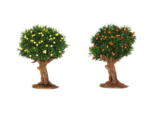 Oliver - Oliver - Assortiment Arbres fruitiers - L.10 x l.5 x H.16,5 cm - Image 2