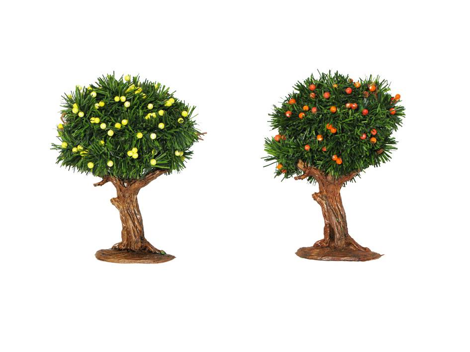 Oliver - Oliver - Assortiment Arbres fruitiers - L.10 x l.5 x H.16,5 cm - Image 2