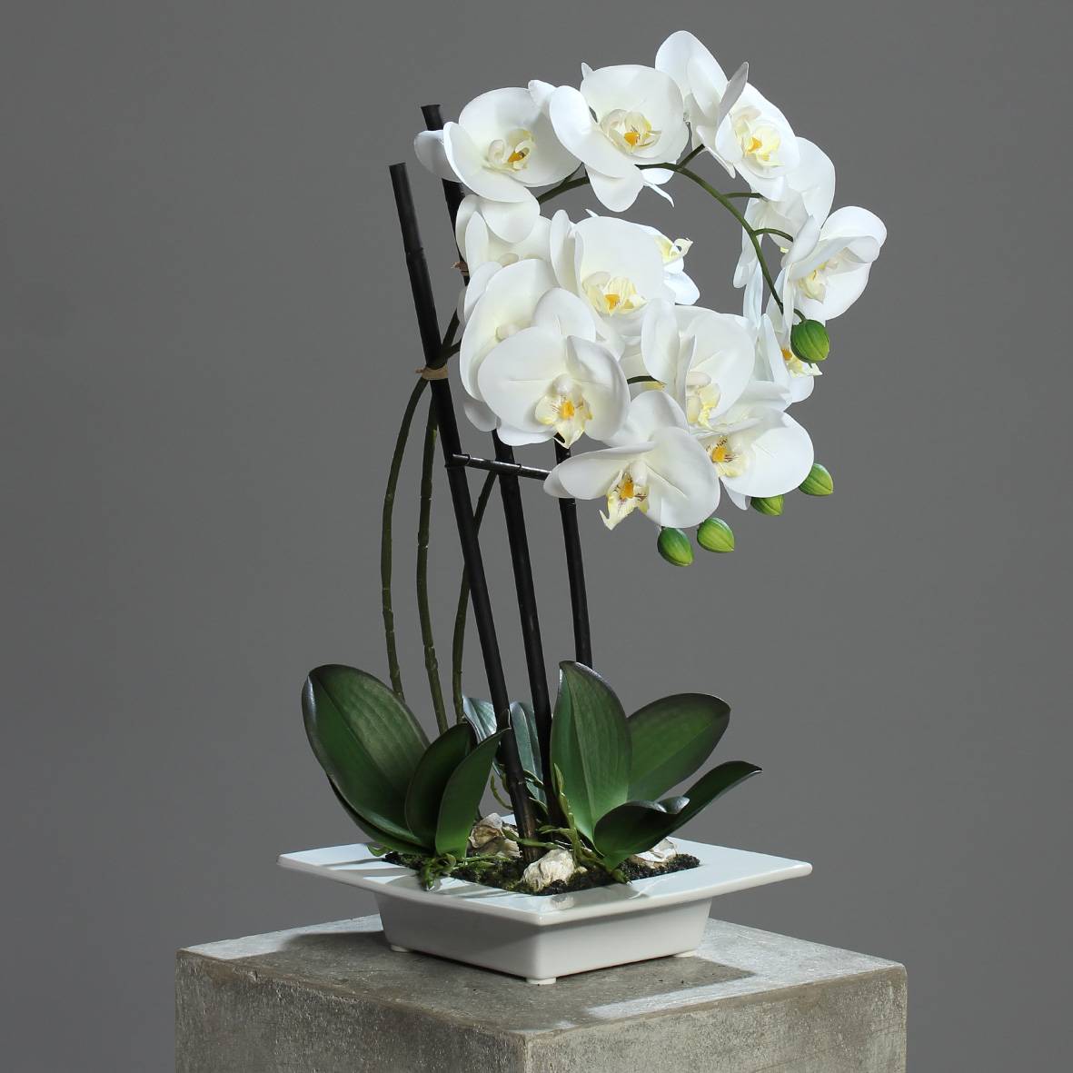 DPI - Orchidée phalaenopsis artificielle blanche-crème H.46 cm