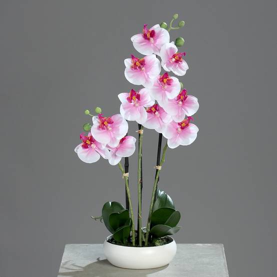 DPI - Orchidée-phalaeno artificielle en coupe ronde, rose-blanc H.36 cm