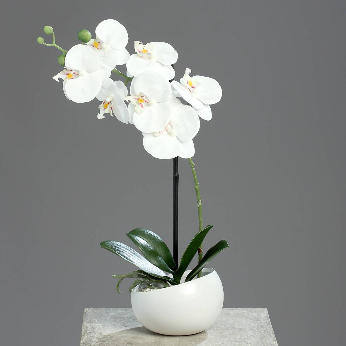 DPI - Orchidée phalaeno artificiel en pot blanc crème H. 40 cm