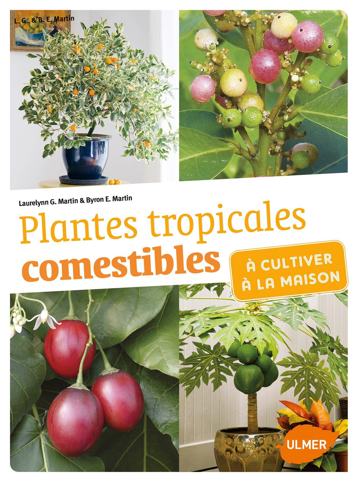 Ulmer - Plantes tropicales comestibles