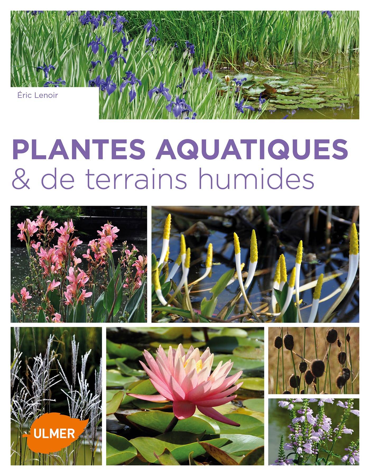 Ulmer - Plantes aquatiques