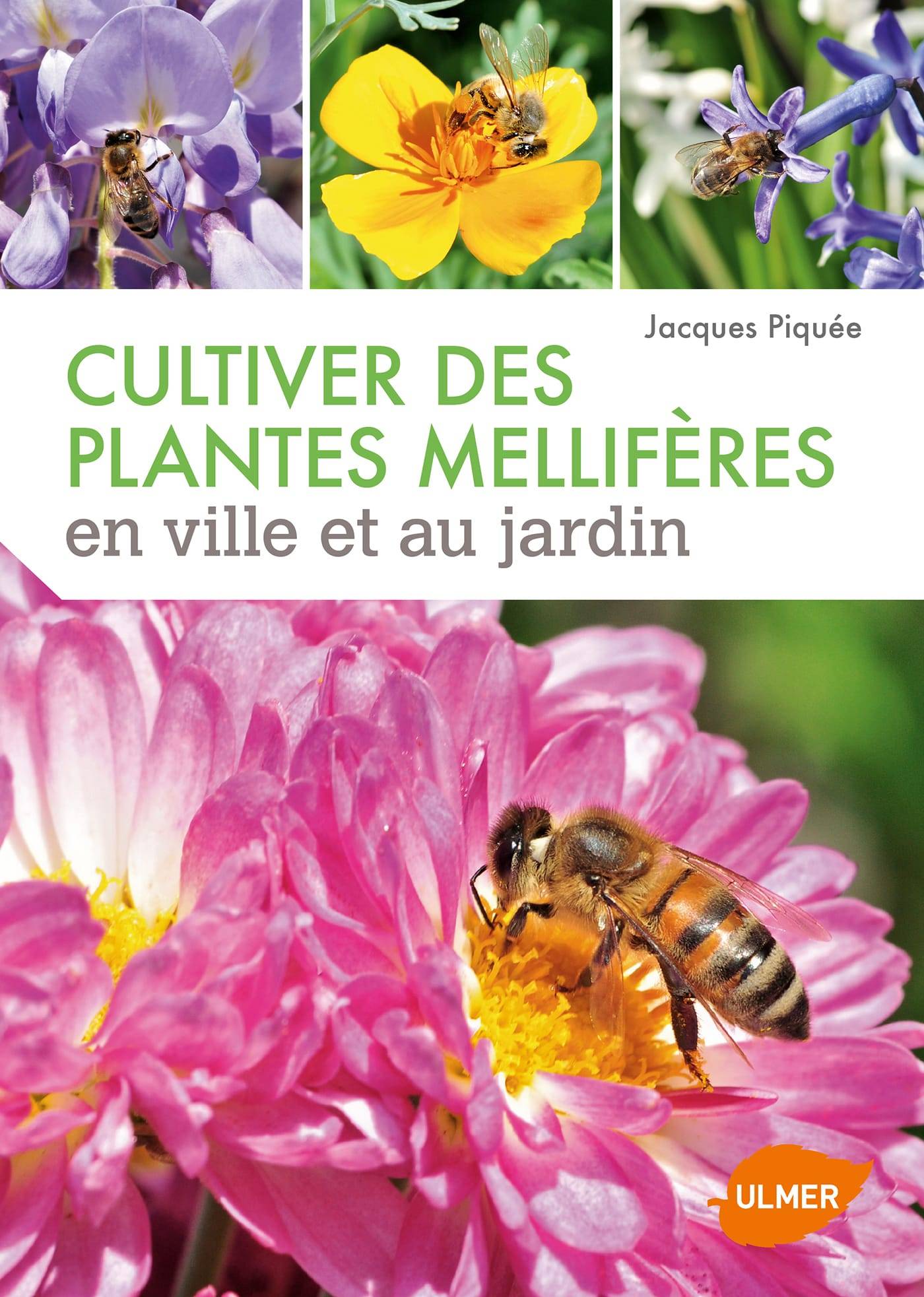 Ulmer - Cultiver des plantes mellifères en ville et au jardin
