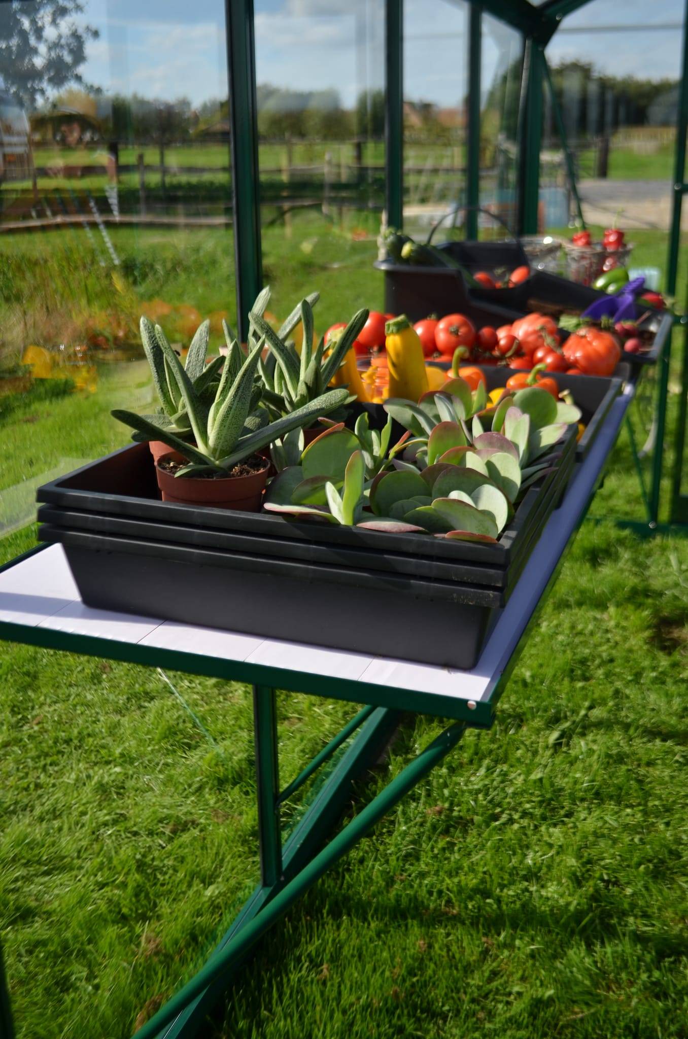 ACD Pro - Paquet Serranova aluminium laqué - Image 2