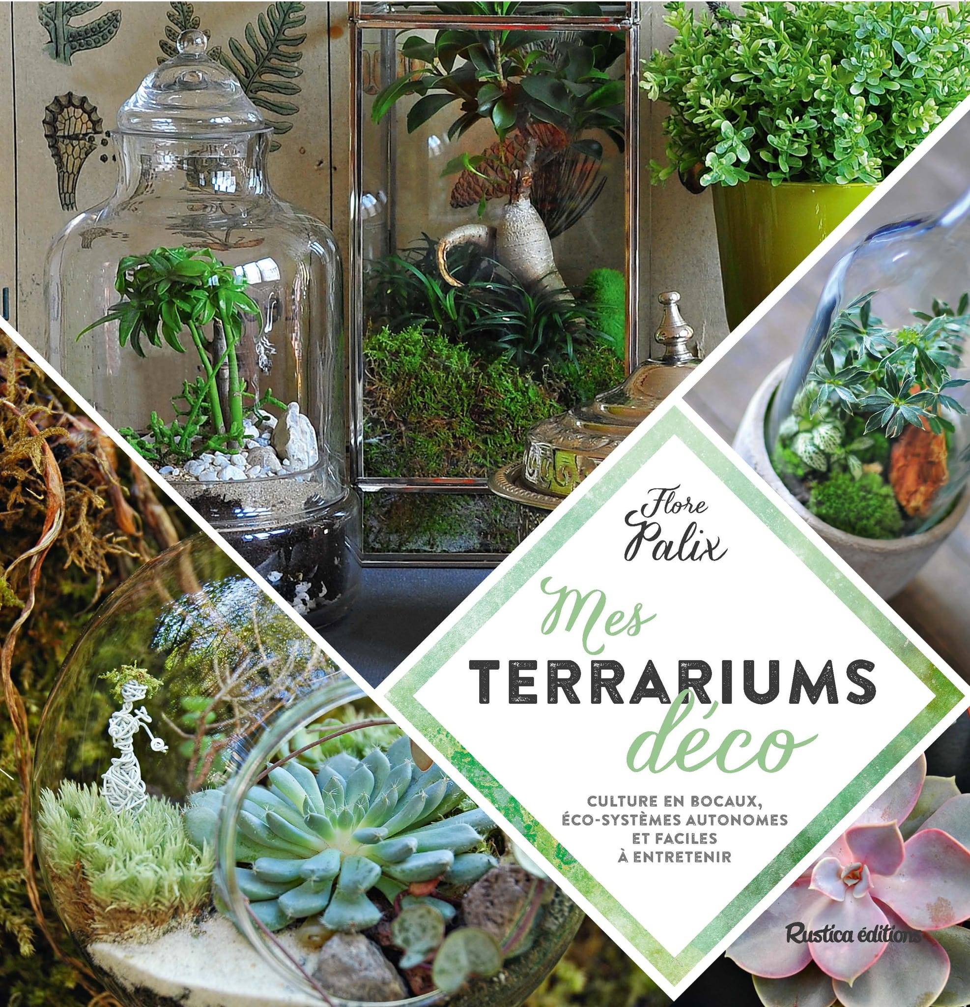 Dilisco - Mes terrariums déco