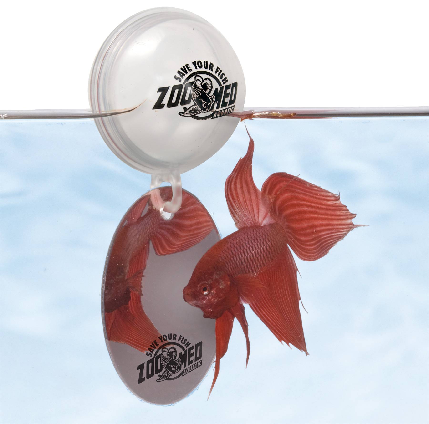 Zoomed - Miroir d'exercice flottant pour Betta - ZOOMED - Image 1