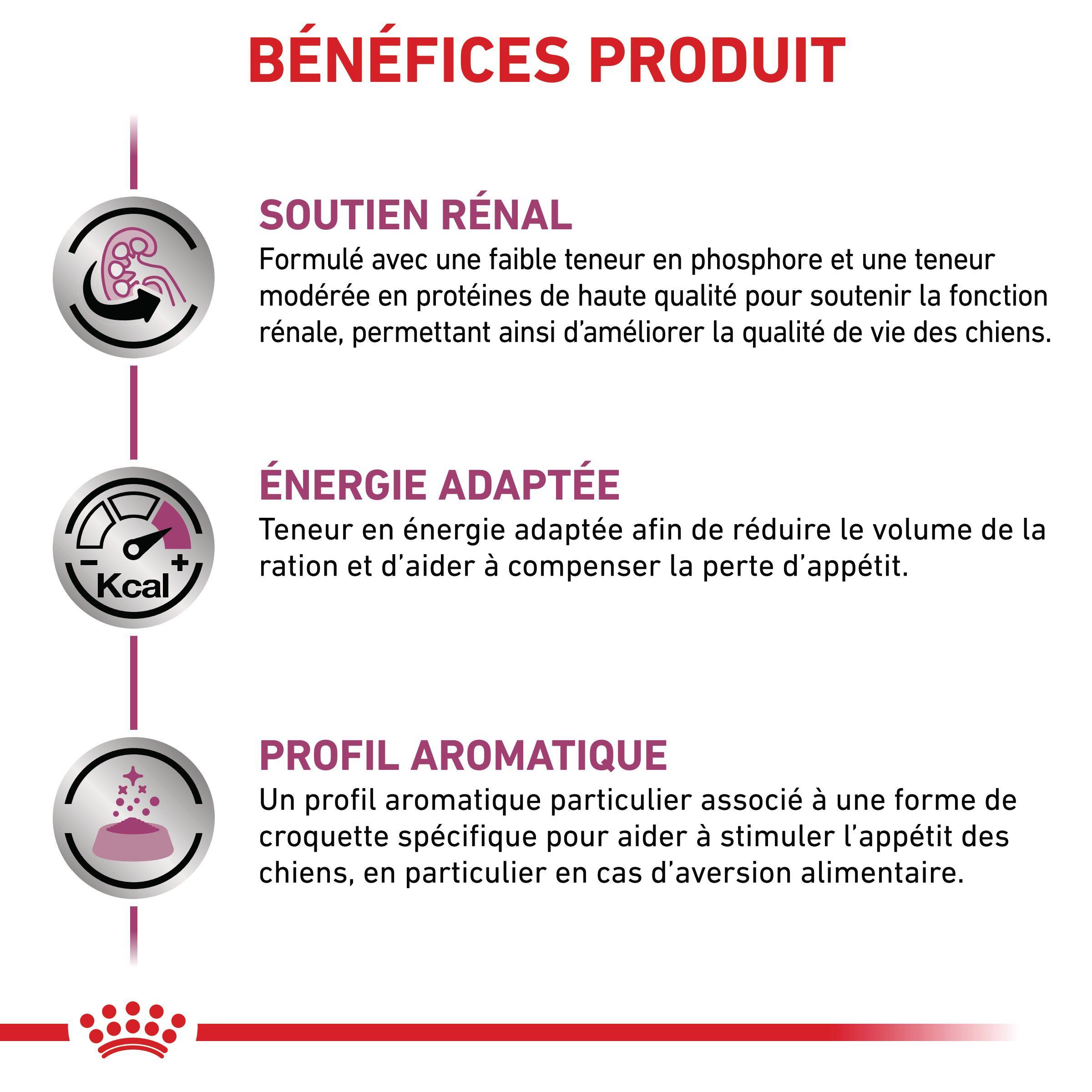 Croquette chien Veterinary Diet Renal 2kg ROYAL CANIN - Imagen 1