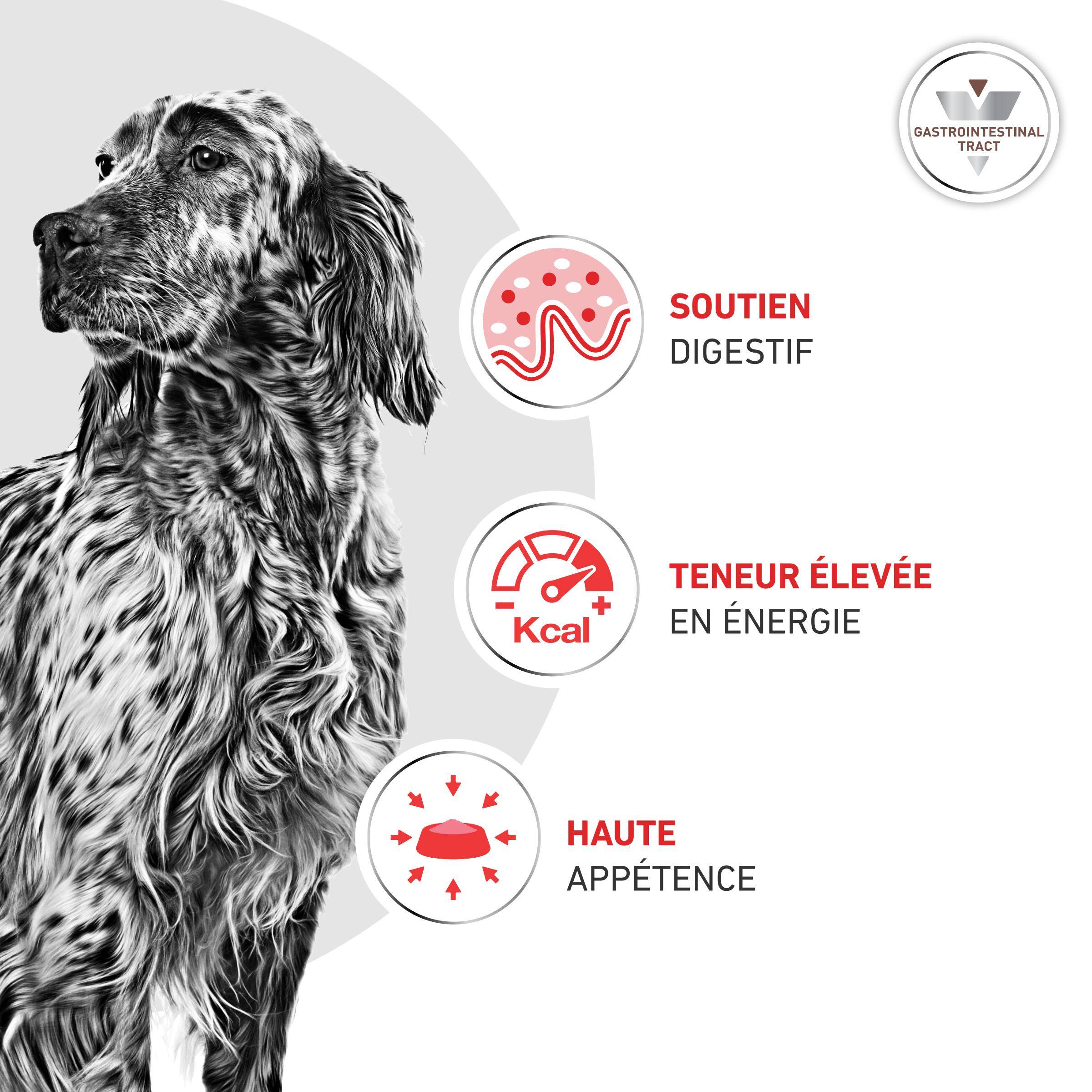 Royal Canin - Croquette Veterinary Diet Gastro Intestinal 2kg - ROYAL CANIN - Image 1