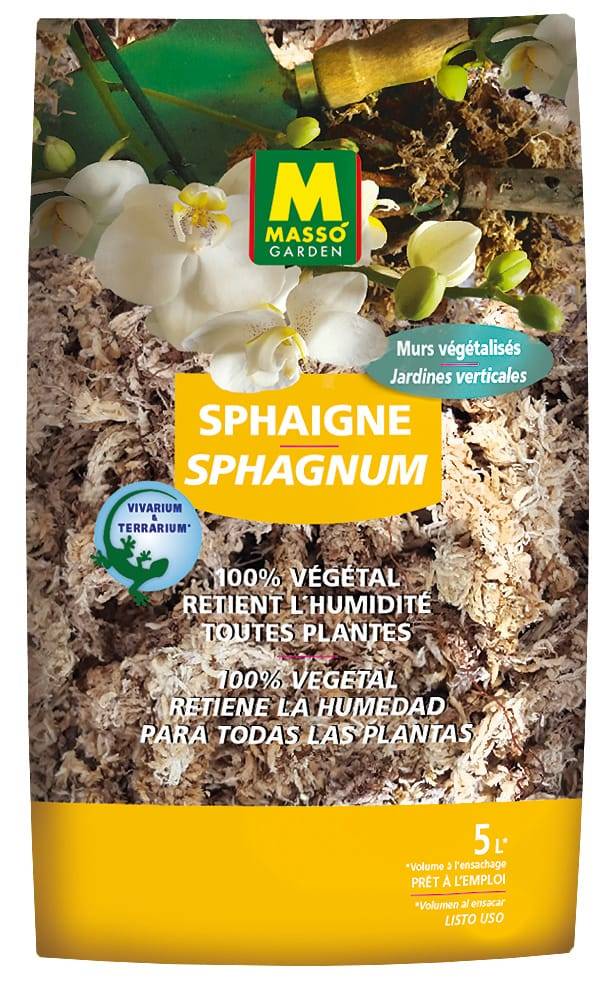 Sphaigne 5 L - MASSO - Imagen 1
