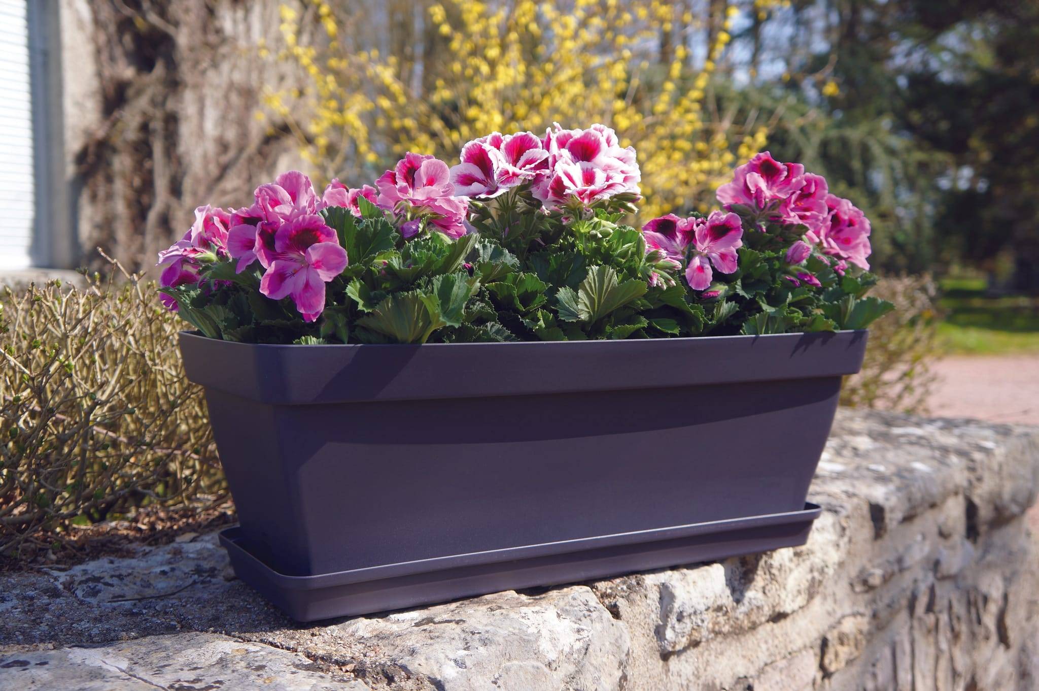 Poétic - Lot 3 Jardinières Roméo 50 souc clipsée + 3 supports Noir Violine - Image 2