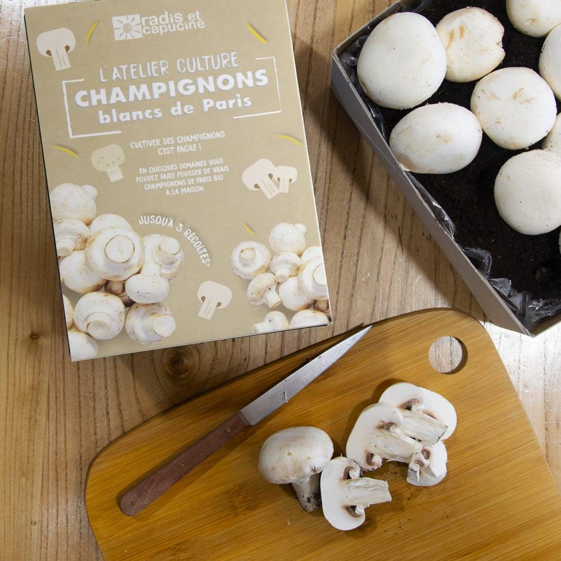 Radis et Capucine - Kit De Culture Champignons De Paris - RADIS ET CAPUCINE - Image 1