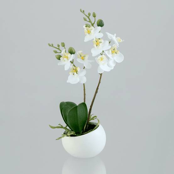 DPI - Orchidée phalaenopsis artificielle blanche crème H.25 cm