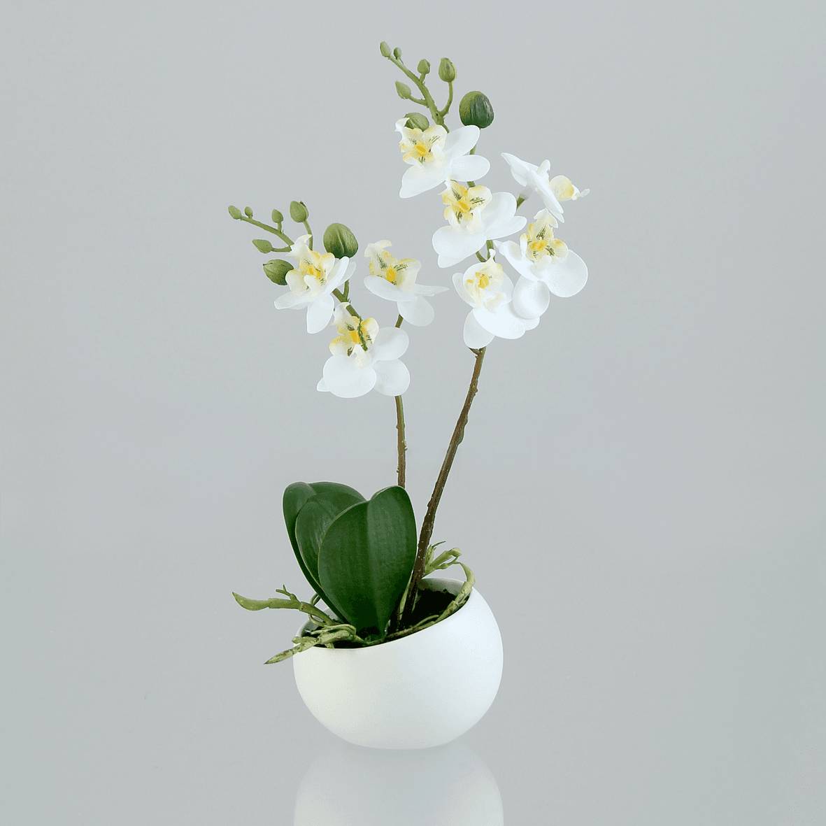DPI - Orchidée phalaenopsis artificielle blanche crème H.25 cm