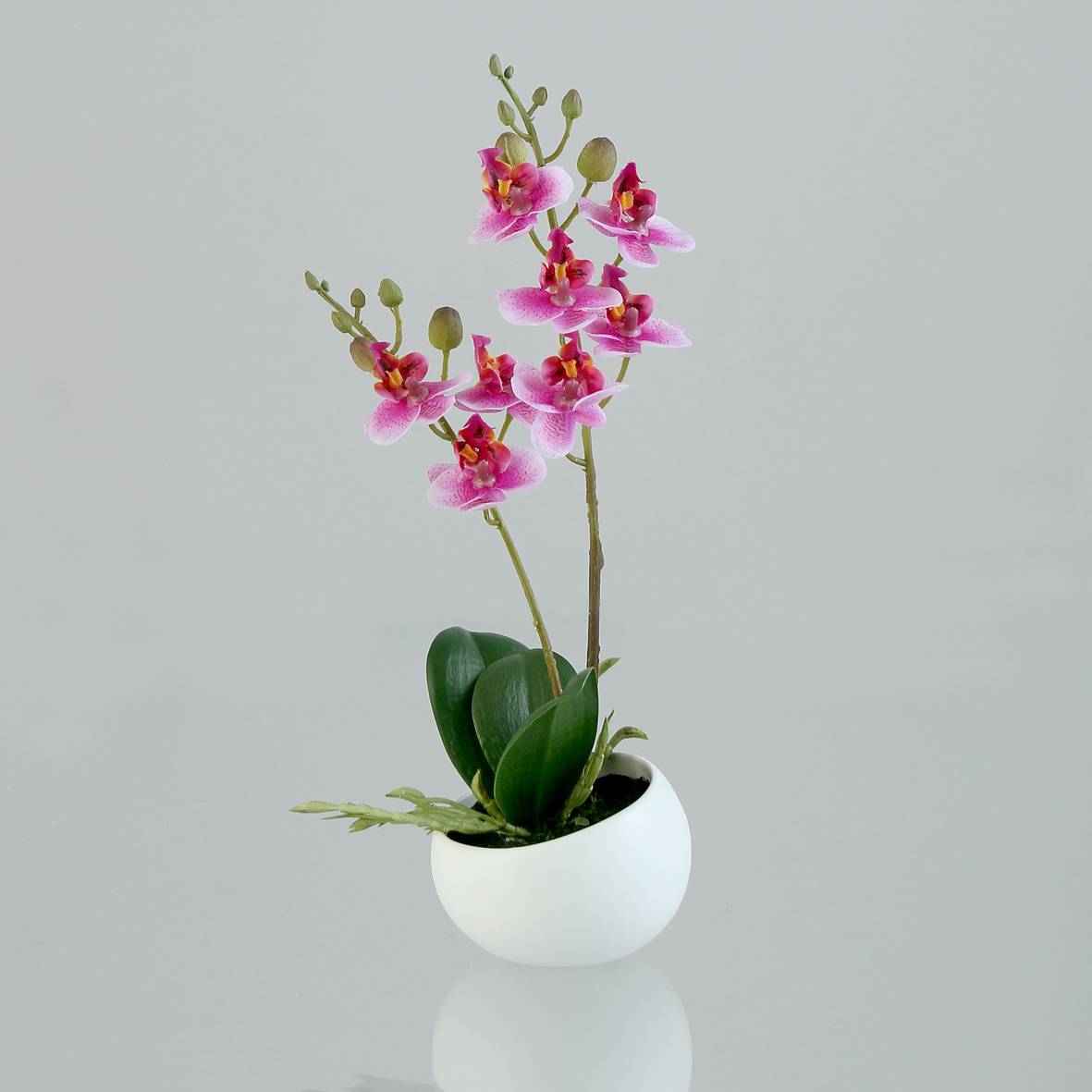 DPI - Mini-orchidée phalaenopsis artificielle en pot, rose-crème, 25 cm