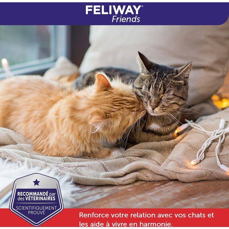 Diffuseur + Recharge - FELIWAY - Image 4