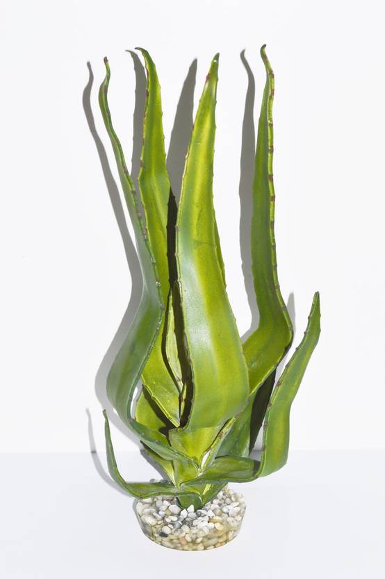 Labéo - Plante Artificielle Pour Terrarium - LABEO - Image 2