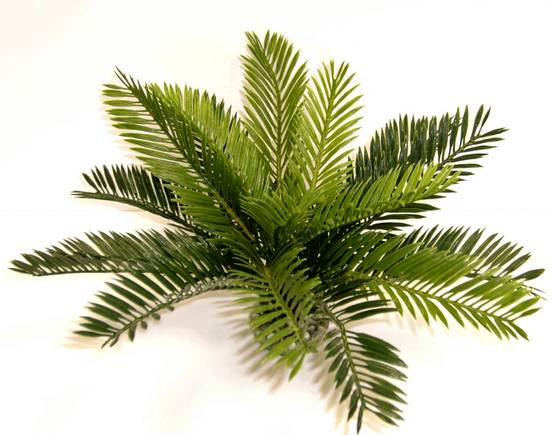 Labéo - Plante Artificielle Pour Terrarium - LABEO - Image 5